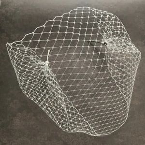 Simple Birdcage Veil